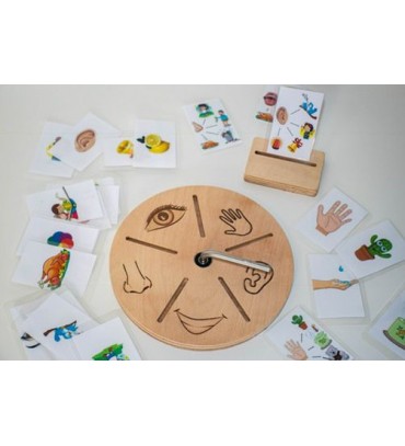 Montessori open-ended game - Learn the 5 senses